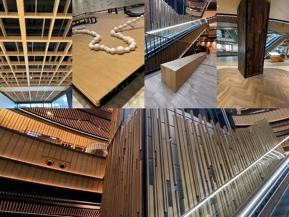 齐觅绿色设计与建筑，感受现代与自然的交融