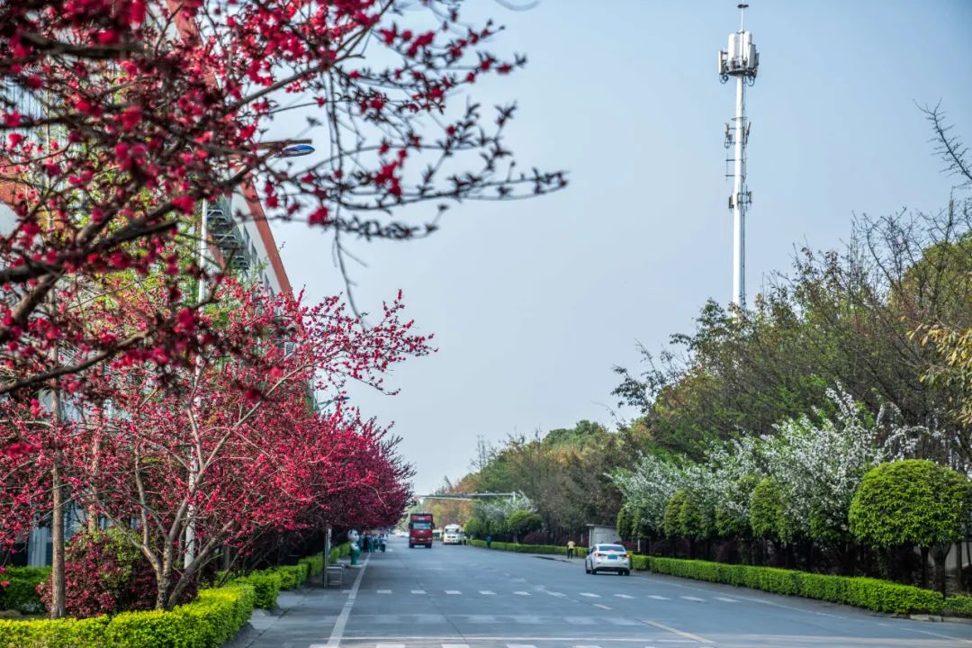 坚守绿色发展之路，全友获评工业产品绿色设计示范企业