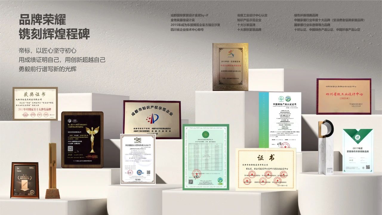 实力铸就家居标杆，帝标家居荣获年度优秀民营企业称号！